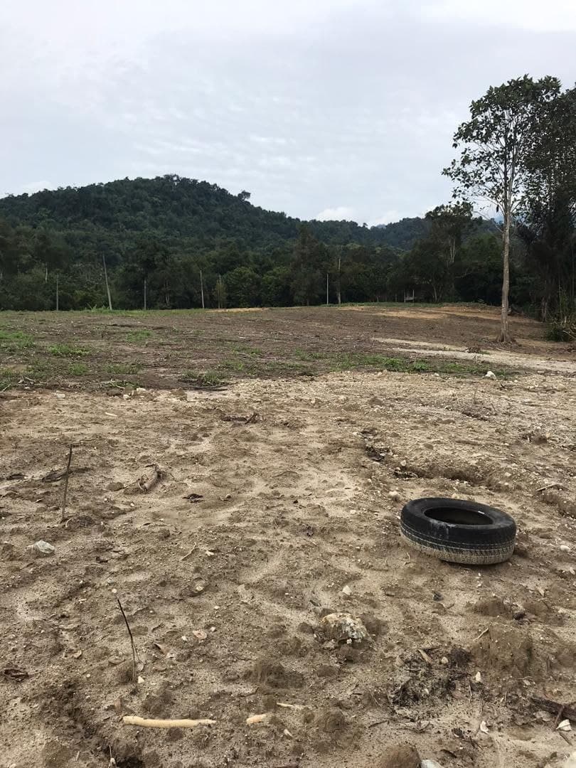 Tanah di Batang Kali, Selangor - photo 6