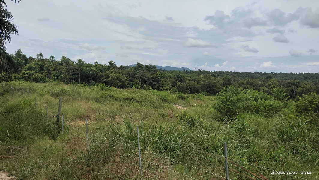 Tanah ekar Pertanian Ibok utk dijual - photo 8