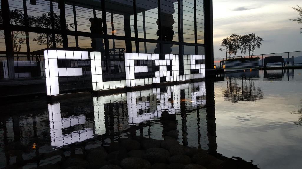 Flexus - photo 3