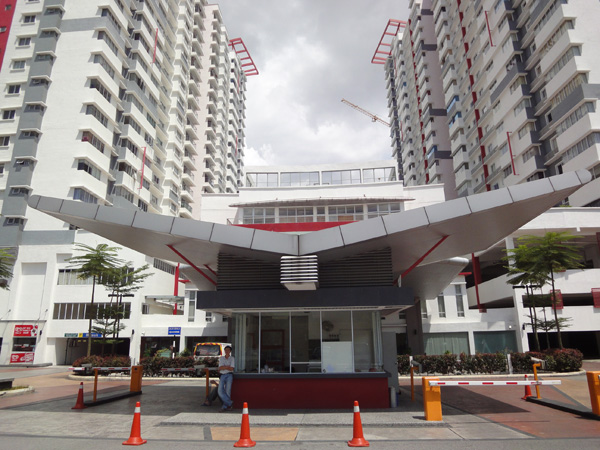 koi kinrara - photo 3