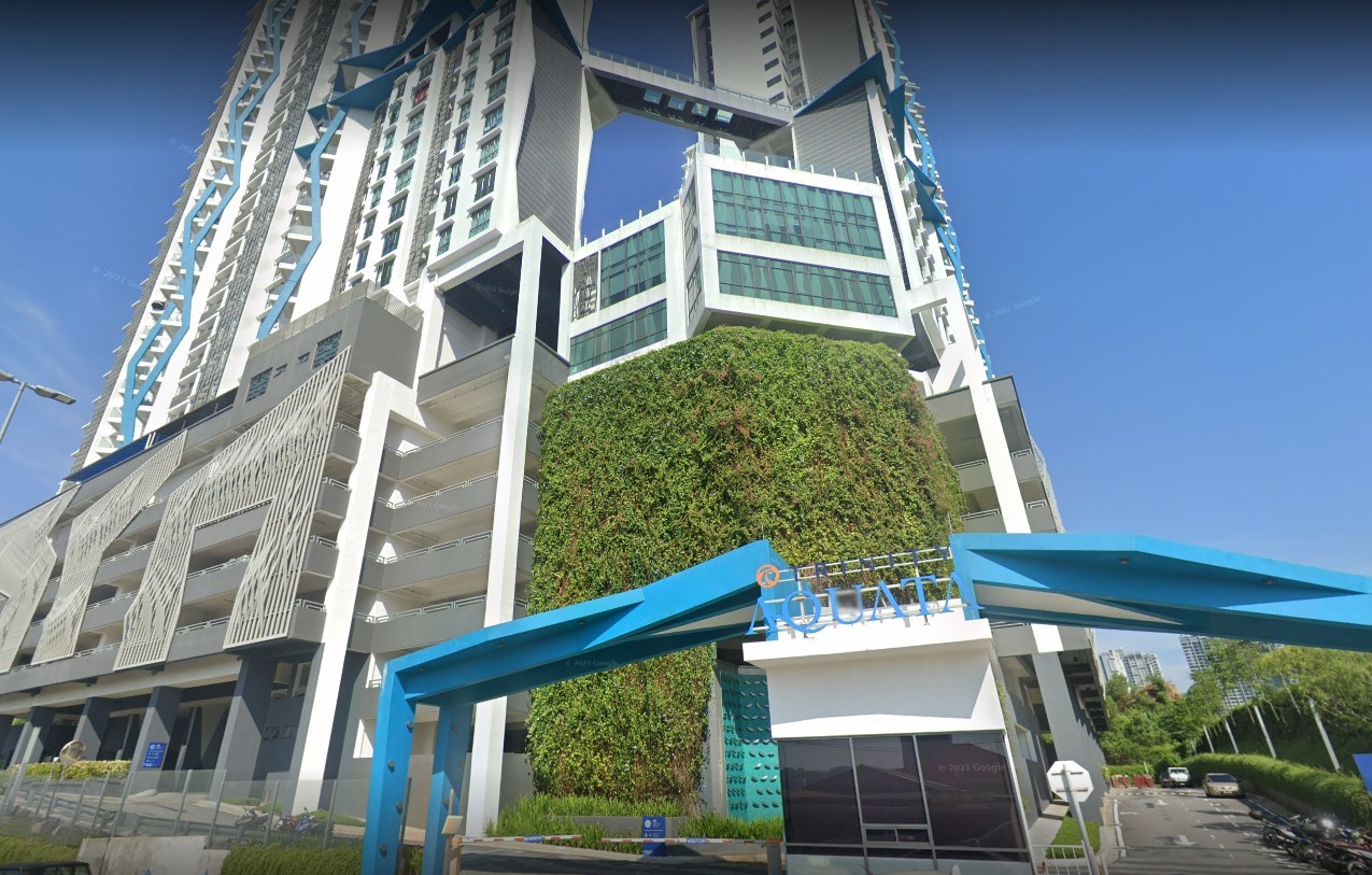 trinity aquata - photo 3