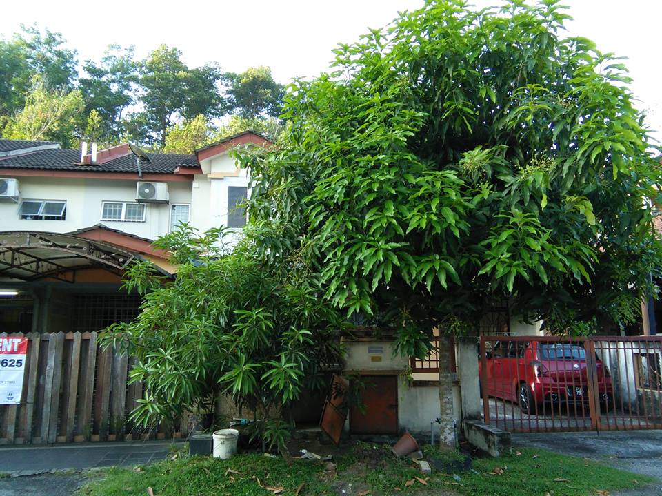 2 Storey Tmn Universiti Bangi - photo 3