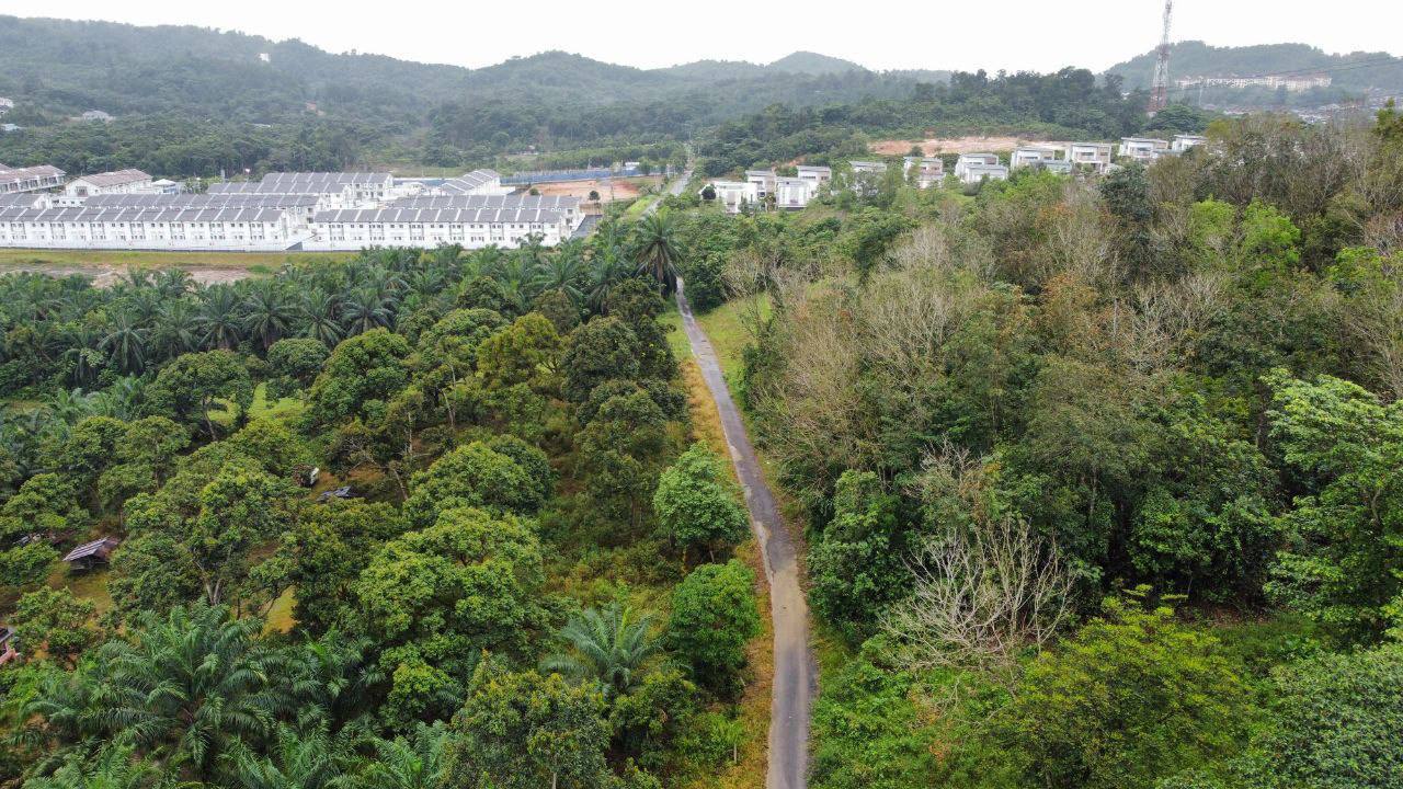 Land for sale at Salak Tinggi Sepang - photo 8