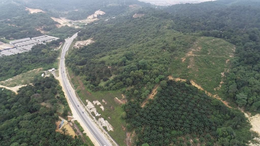 Tanah Pertanian Non Bumi Persiaran Mokhtar Dahari - photo 3