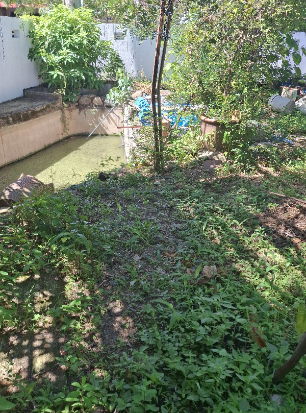 Double Storey Terrace House ( Corner) - photo 2