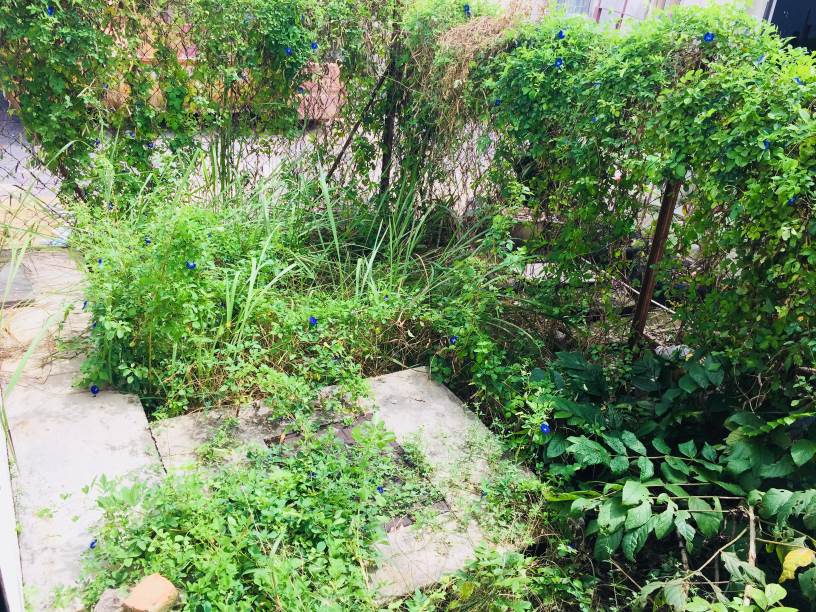 2sty Puchong Utama 12 FREEHOLD NON-bumi 4r3b - photo 9