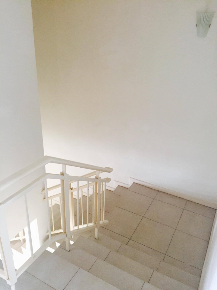 D alpinia, D alpinia, puchong south, superlink - photo 6