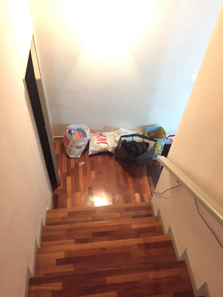 ParkVilla 1259sf lower unit NON BUMI 3r2b freehold - photo 8
