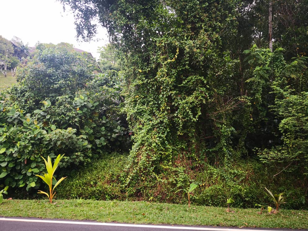Tanah utk dijual di Seksyen 7 Shah Alam - photo 5