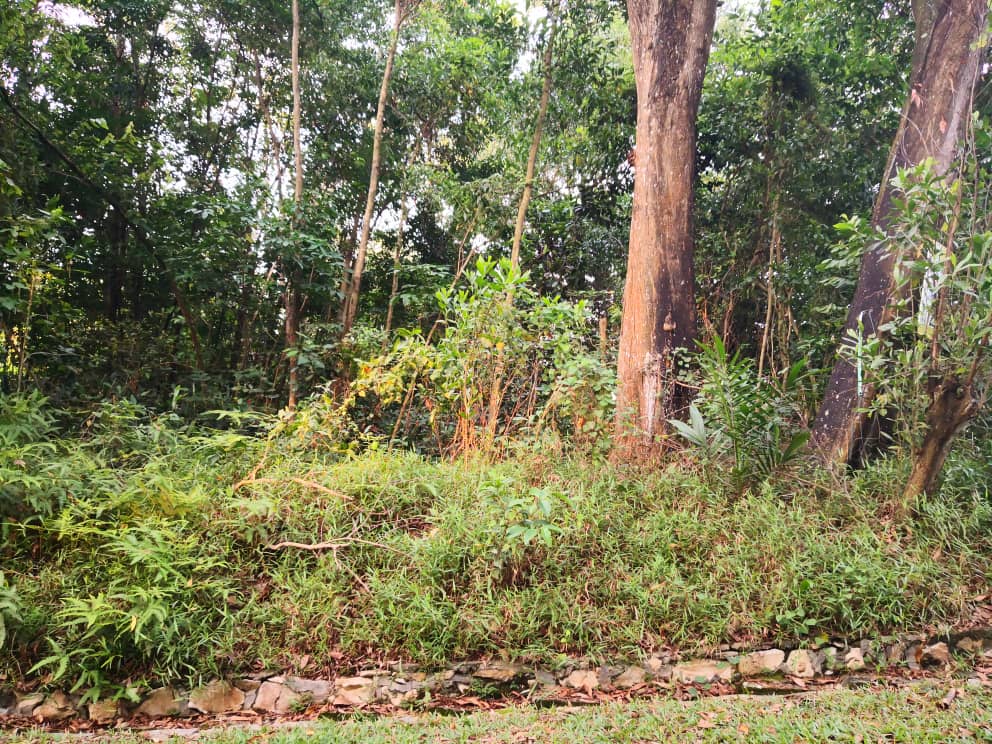 Tanah utk dijual di Seksyen 7 Shah Alam - photo 6