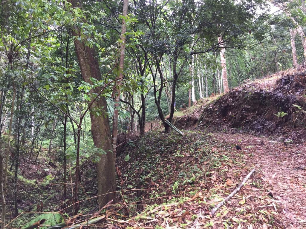 Agriculture Land at Genting Malek Batang Kali - photo 6