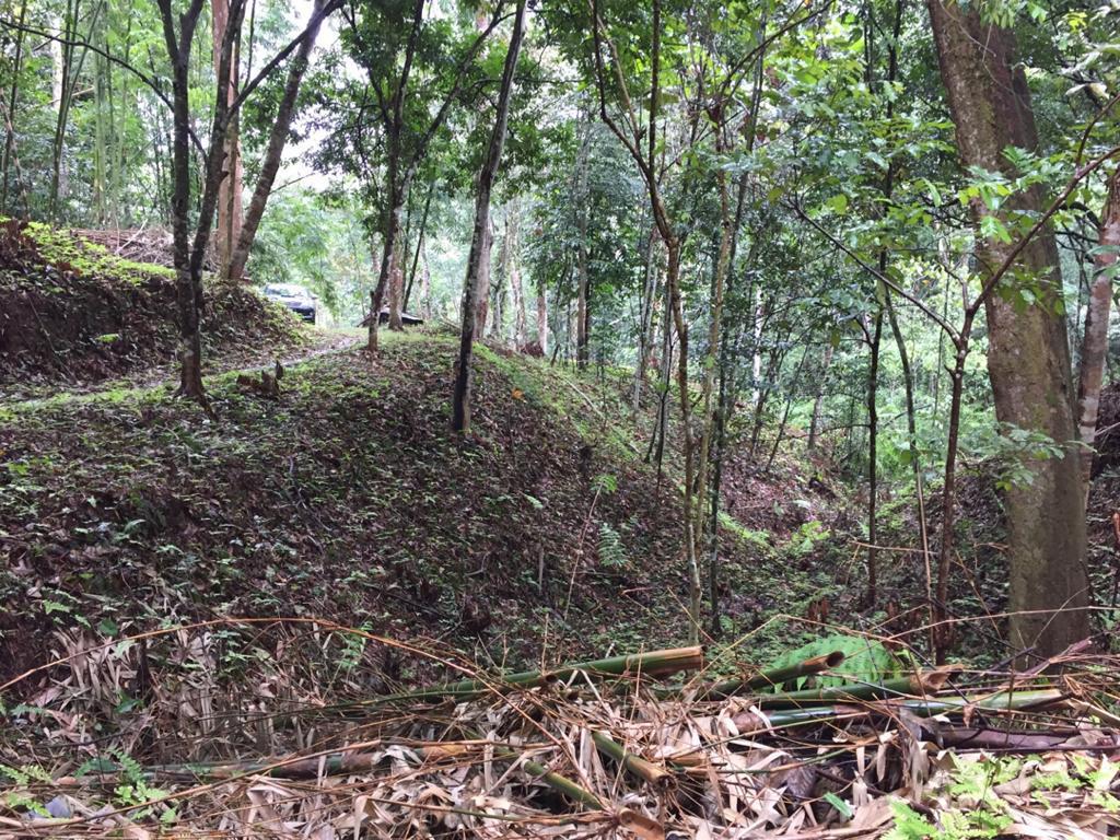 Agriculture Land at Genting Malek Batang Kali - photo 8