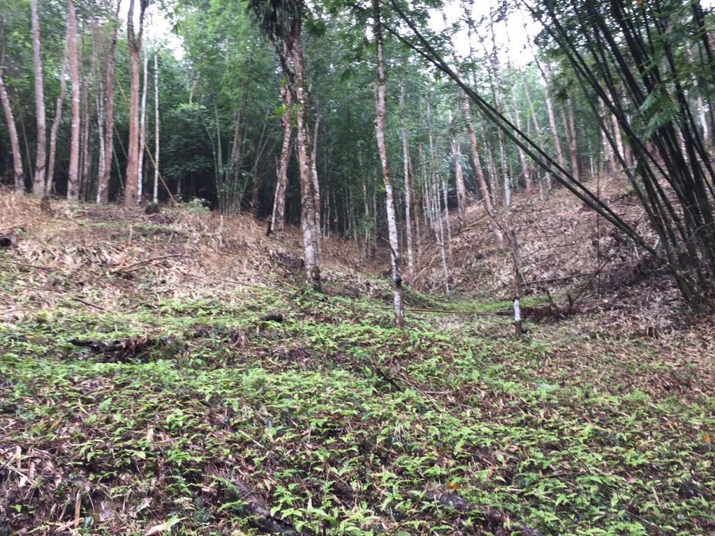 Agriculture Land at Genting Malek Batang Kali - photo 9