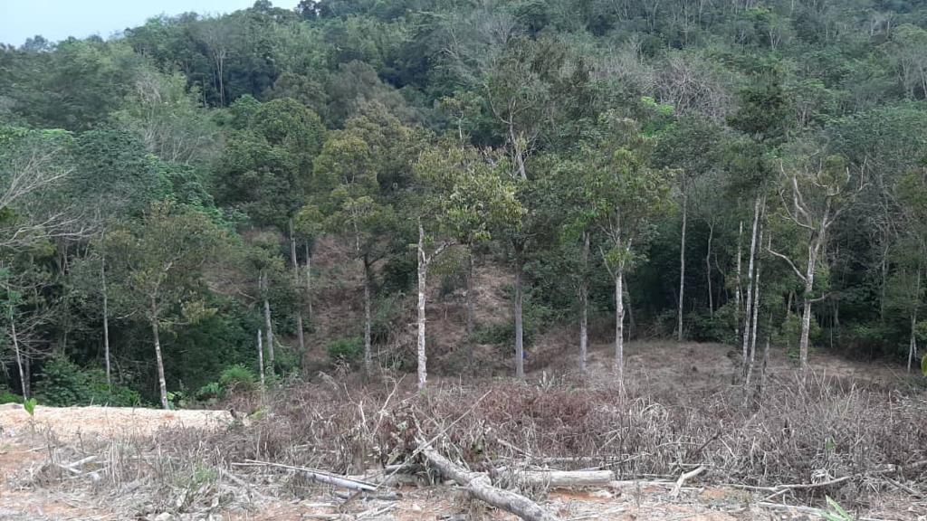 Tanah 3 Ekar Sg Baru Ada Anak Sungai Ulu Yam