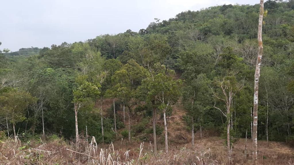 Tanah 3 Ekar Sg Baru Ada Anak Sungai Ulu Yam - photo 2