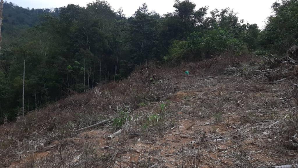 Tanah 3 Ekar Sg Baru Ada Anak Sungai Ulu Yam - photo 3
