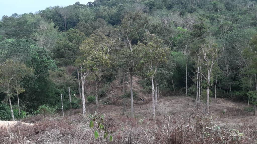 Tanah 3 Ekar Sg Baru Ada Anak Sungai Ulu Yam - photo 5