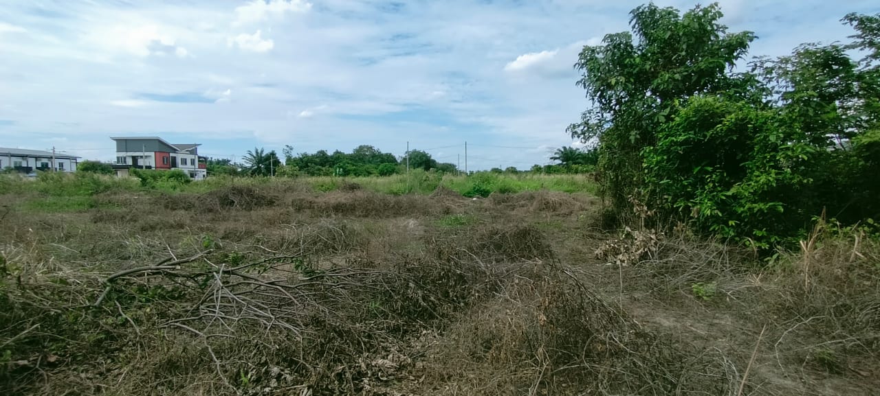 Kampung Labu Lanjut, Sepang - photo 5