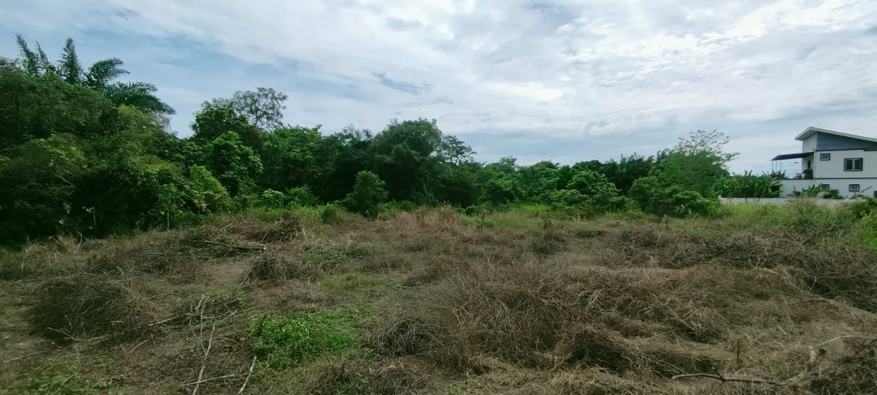 Kampung Labu Lanjut, Sepang - photo 8