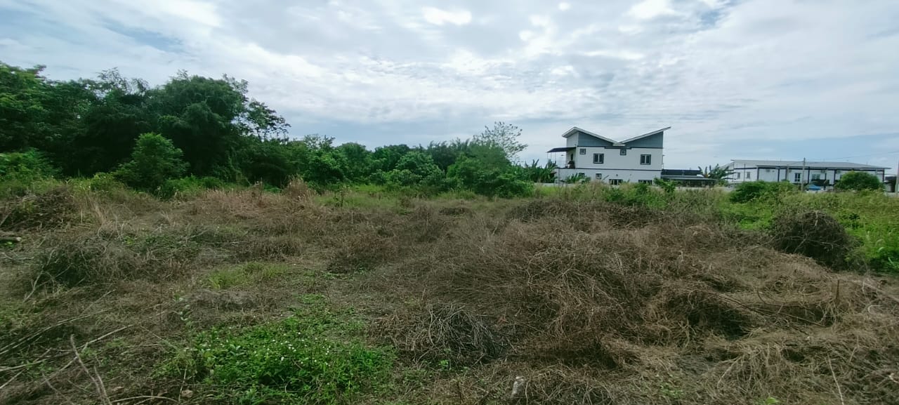 Kampung Labu Lanjut, Sepang - photo 11