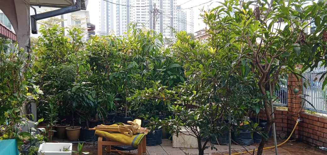 Taman Serdang Raya, Seri Kembangan Corner Lot - photo 6