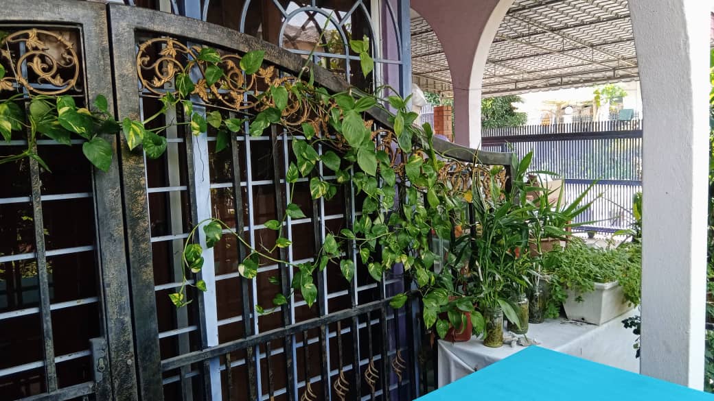 Taman Serdang Raya, Seri Kembangan Corner Lot - photo 9
