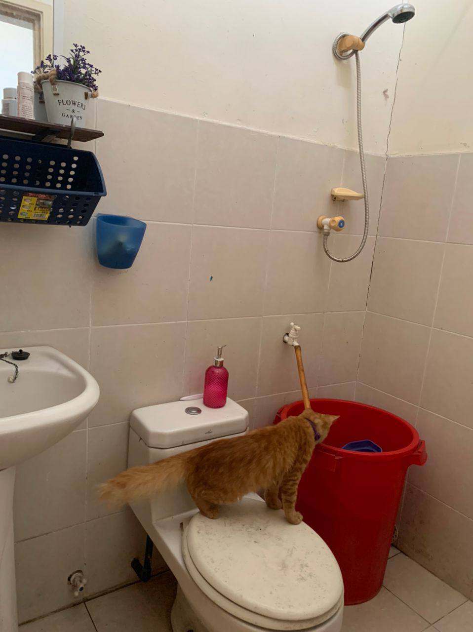 Rawang Bandar Country Homes - photo 8
