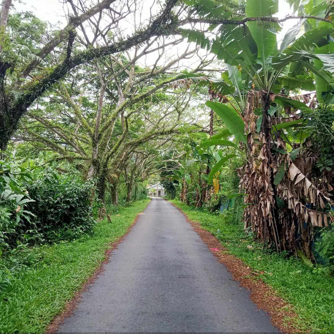 Tanah 2 Ekar Di Janda Baik Ada Sungai Depan Tanah - photo 2