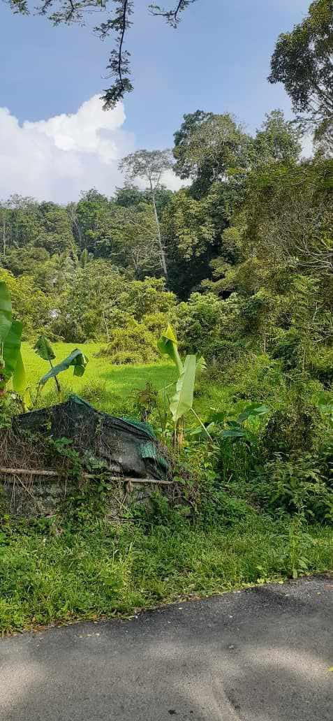 Tanah 2 Ekar Di Janda Baik Ada Sungai Depan Tanah - photo 4