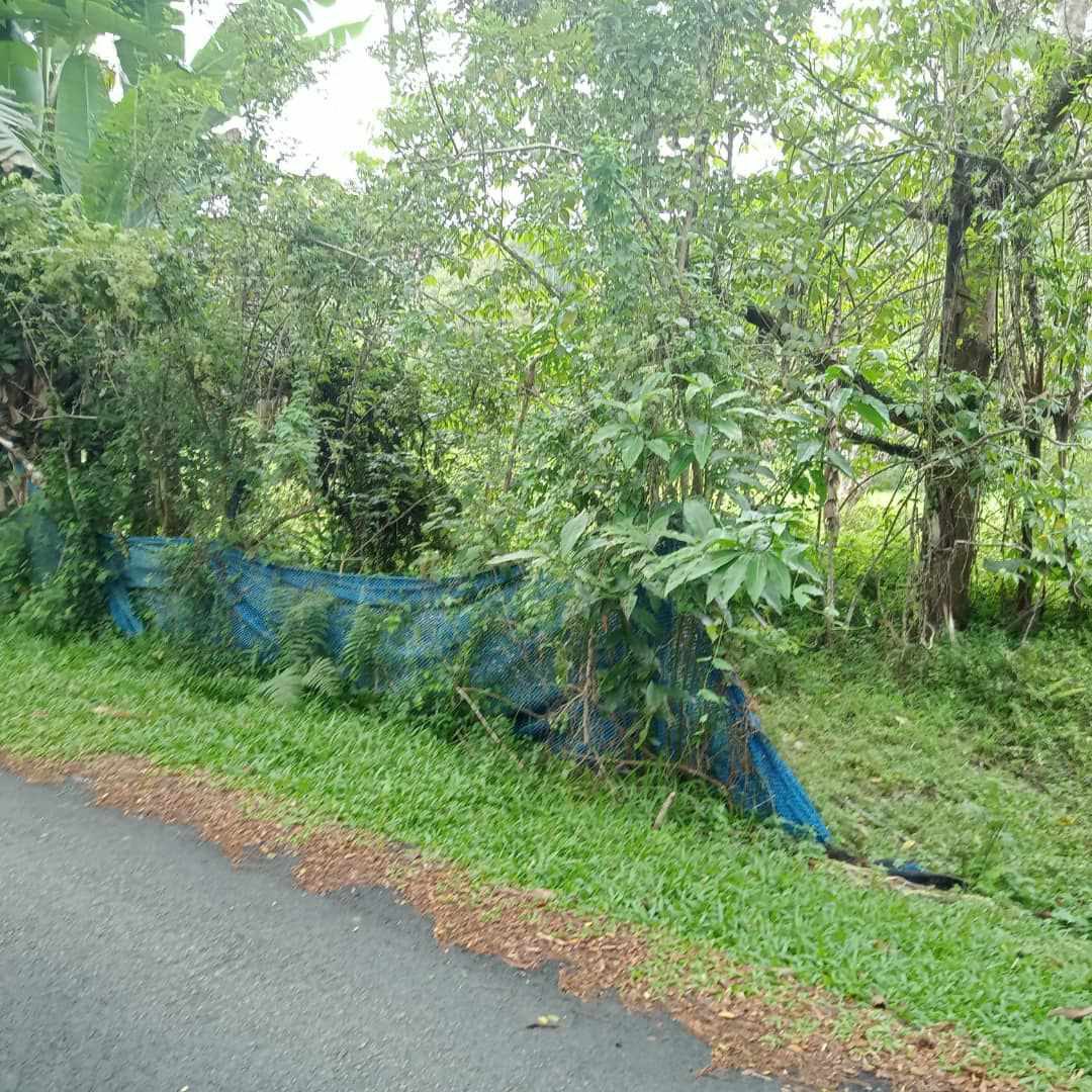 Tanah 2 Ekar Di Janda Baik Ada Sungai Depan Tanah - photo 9