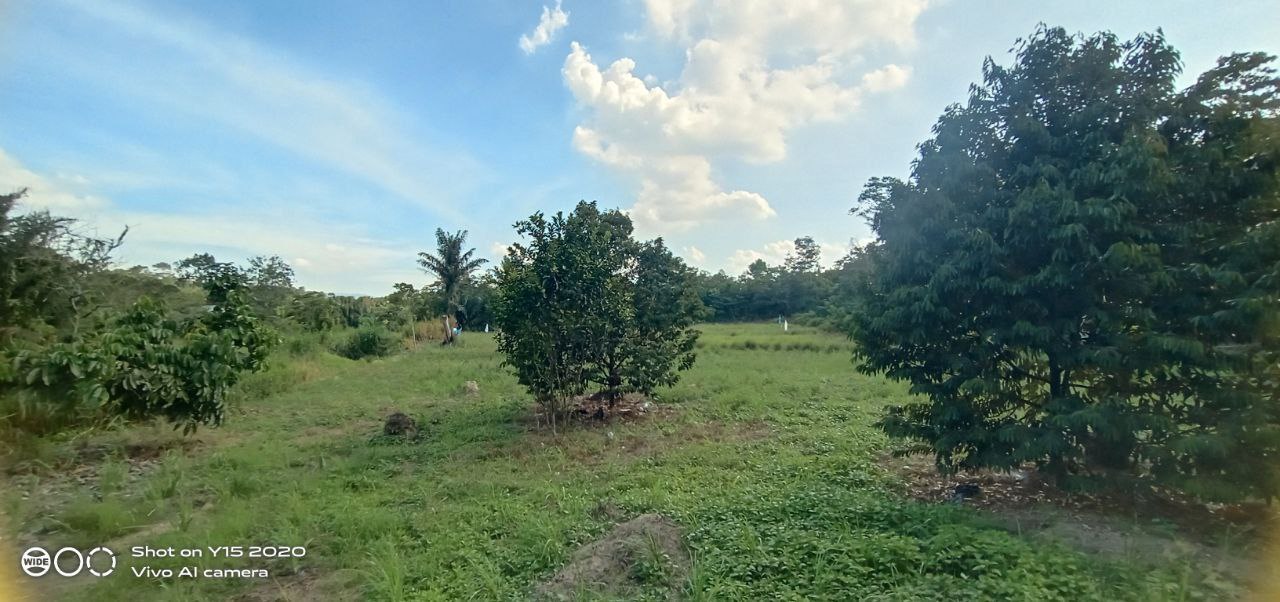 Tanah 86031sqft Hulu Lenggeng Seremban for Sale - photo 5
