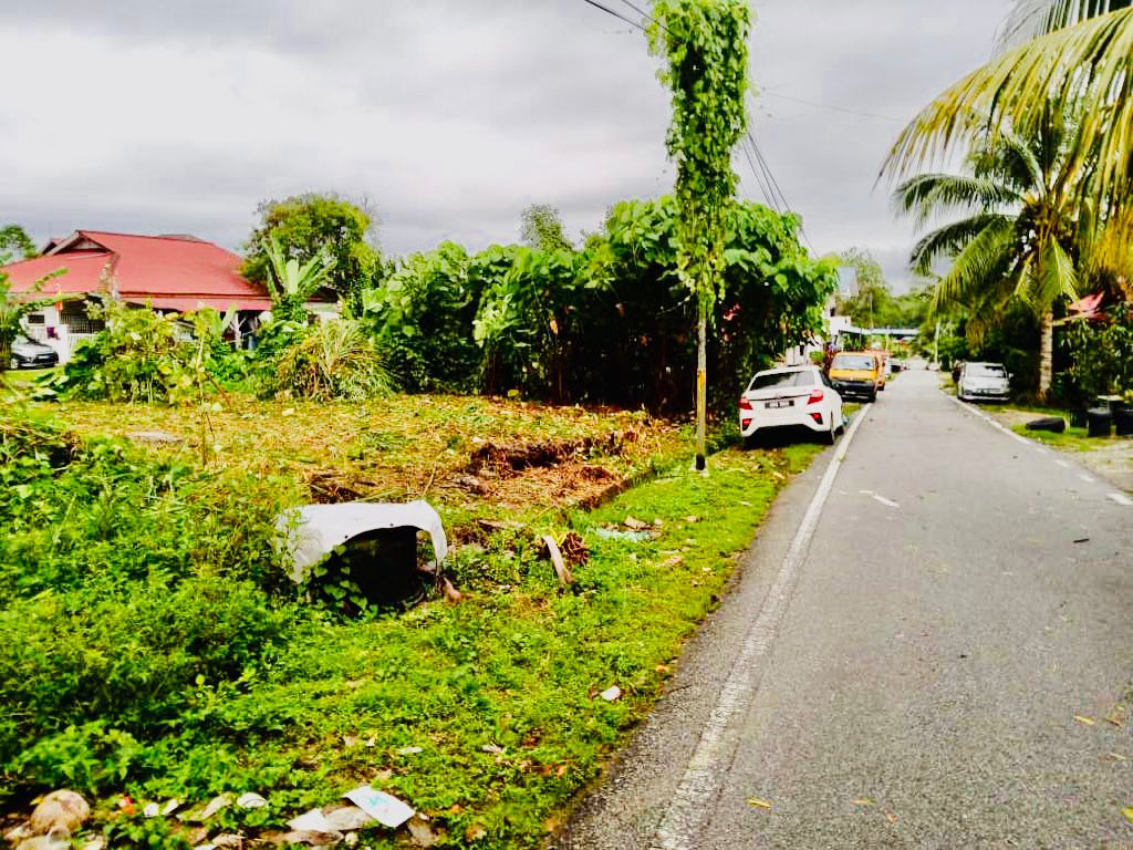 Tanah Pembangunan Matang Pagar,Mukim Rawang - photo 2