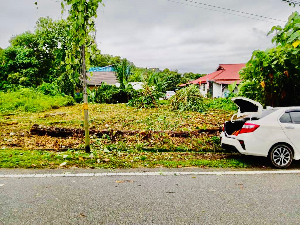 Tanah Pembangunan Matang Pagar,Mukim Rawang - photo 3