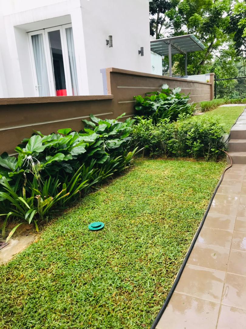 Renovated Semi D 3 Storey Bukit Jelutong - photo 2