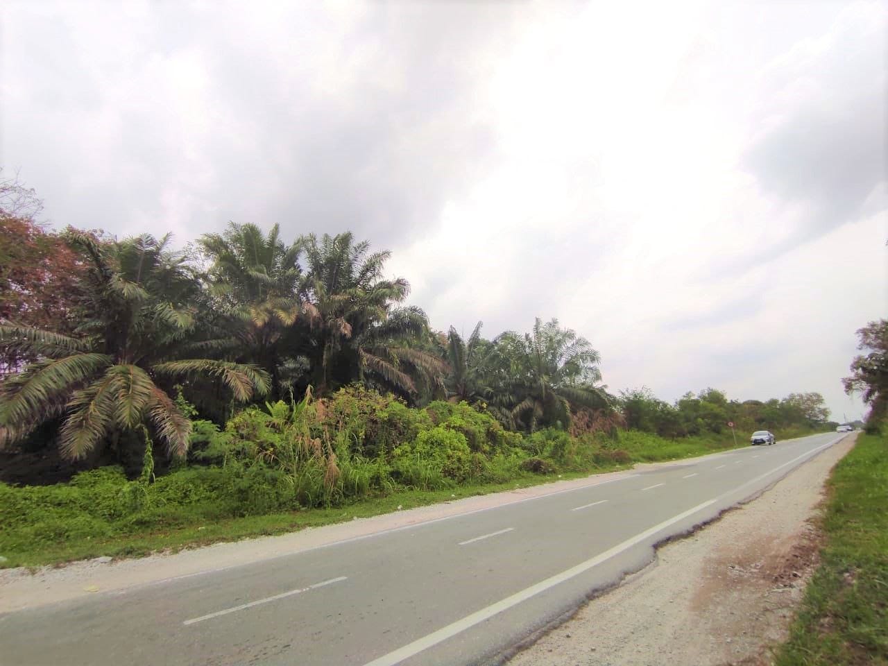 Tanah Lot Bunglow Jln Kebun, Seksyen 30 Shah Alam - photo 3