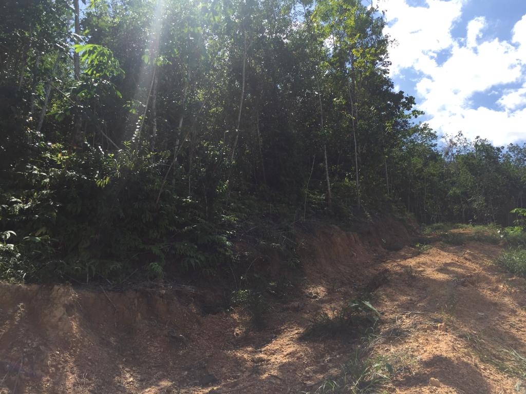 Tanah Pertanian Getah Juntai 3, Jelebu N9 - photo 2