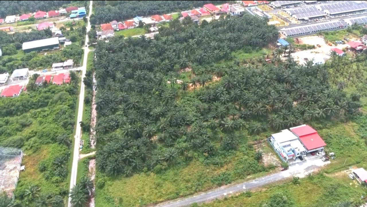 Tanah Tepi Jalan Kampung Lombong, Seksyen 29 Shah - photo 2