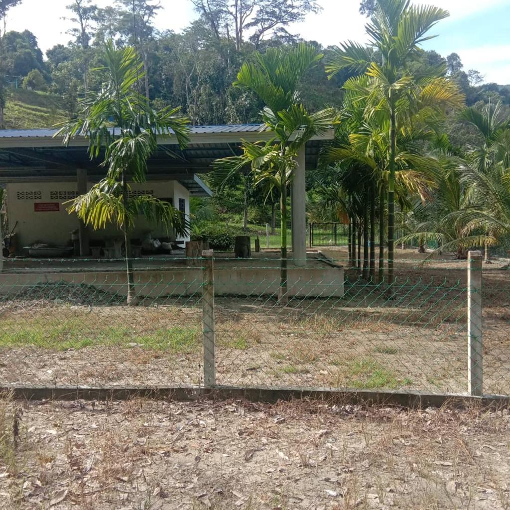 Tanah Dusun 3 Ekar di Petaseh Hulu Jelebu N9 - photo 3