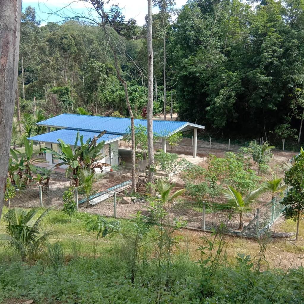 Tanah Dusun 3 Ekar di Petaseh Hulu Jelebu N9 - photo 5