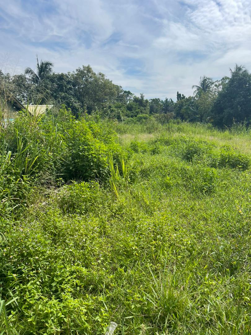 Bungalow Lot at Pulau Meranti Puchong - photo 4