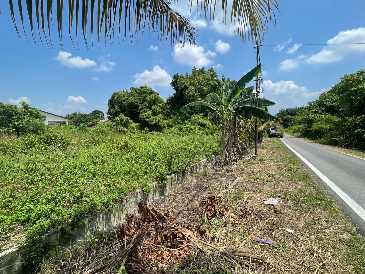 Bungalow Lot Geran Individu Pulau Meranti Puchong - photo 2
