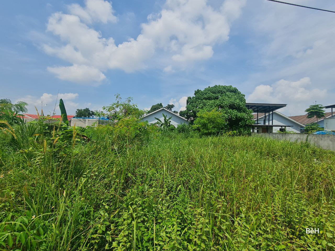 End Lot Freehold Tanah Lot Jln Kebun Shah Alam - photo 9