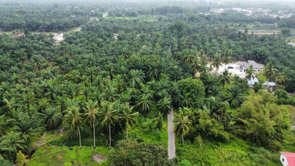 Tanah Banglo Geran Individu Pantai Remis Jeram - photo 2