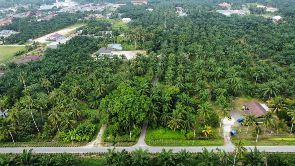 Tanah Banglo Geran Individu Pantai Remis Jeram - photo 3