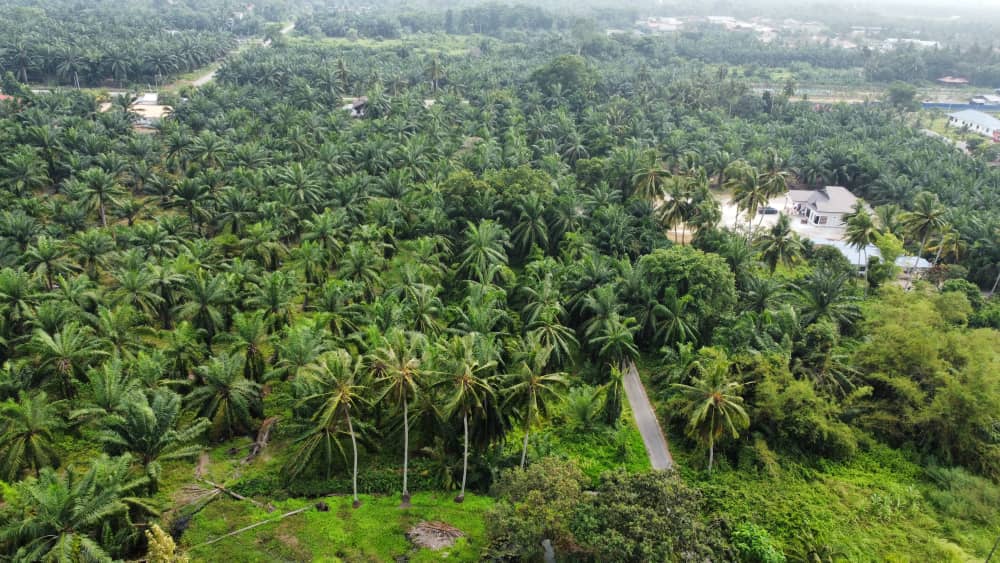 Tanah Banglo Geran Individu Pantai Remis Jeram - photo 8