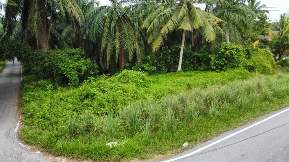 Tanah Banglo Geran Individu Pantai Remis Jeram - photo 9
