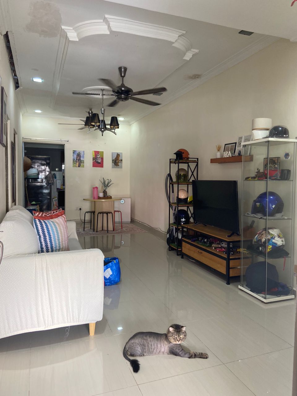 Freehold Single Storey BK1 Bandar Kinrara  Puchong - photo 2