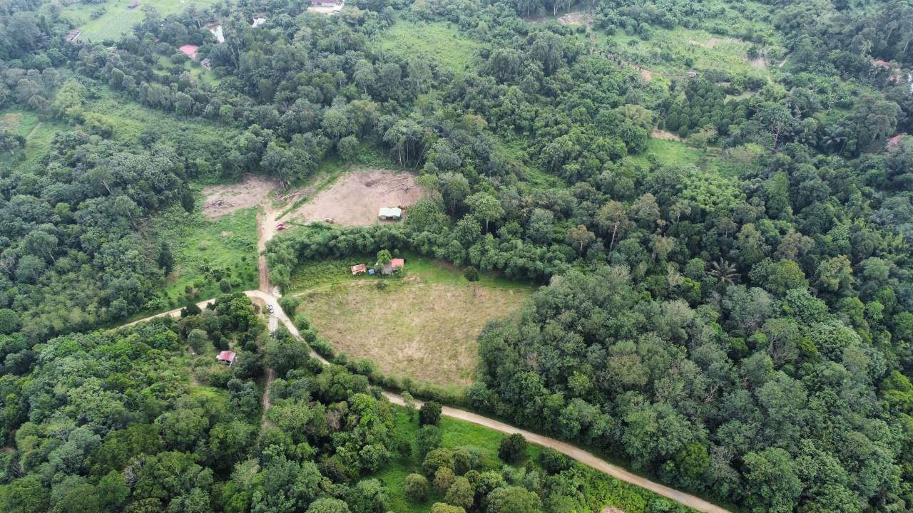 Tanah Pertanian Di Dusun Tua, Hulu Langat - photo 3
