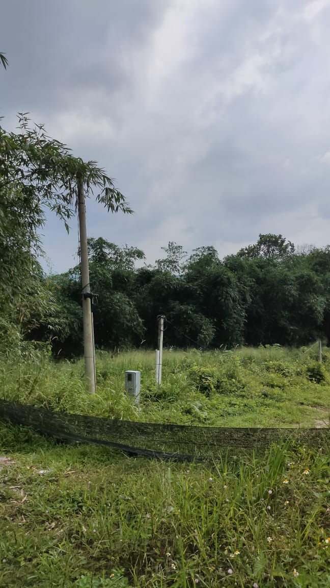 Tanah Pertanian Di Dusun Tua, Hulu Langat - photo 8