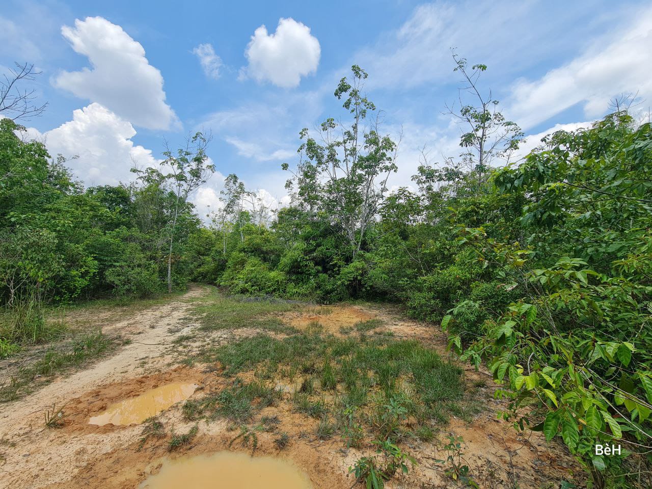 Tanah Pertanian 11 Ekar Bukit Lamir Lompa Temerloh - photo 6